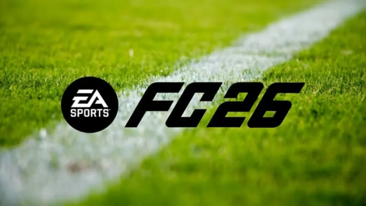 asfsaf