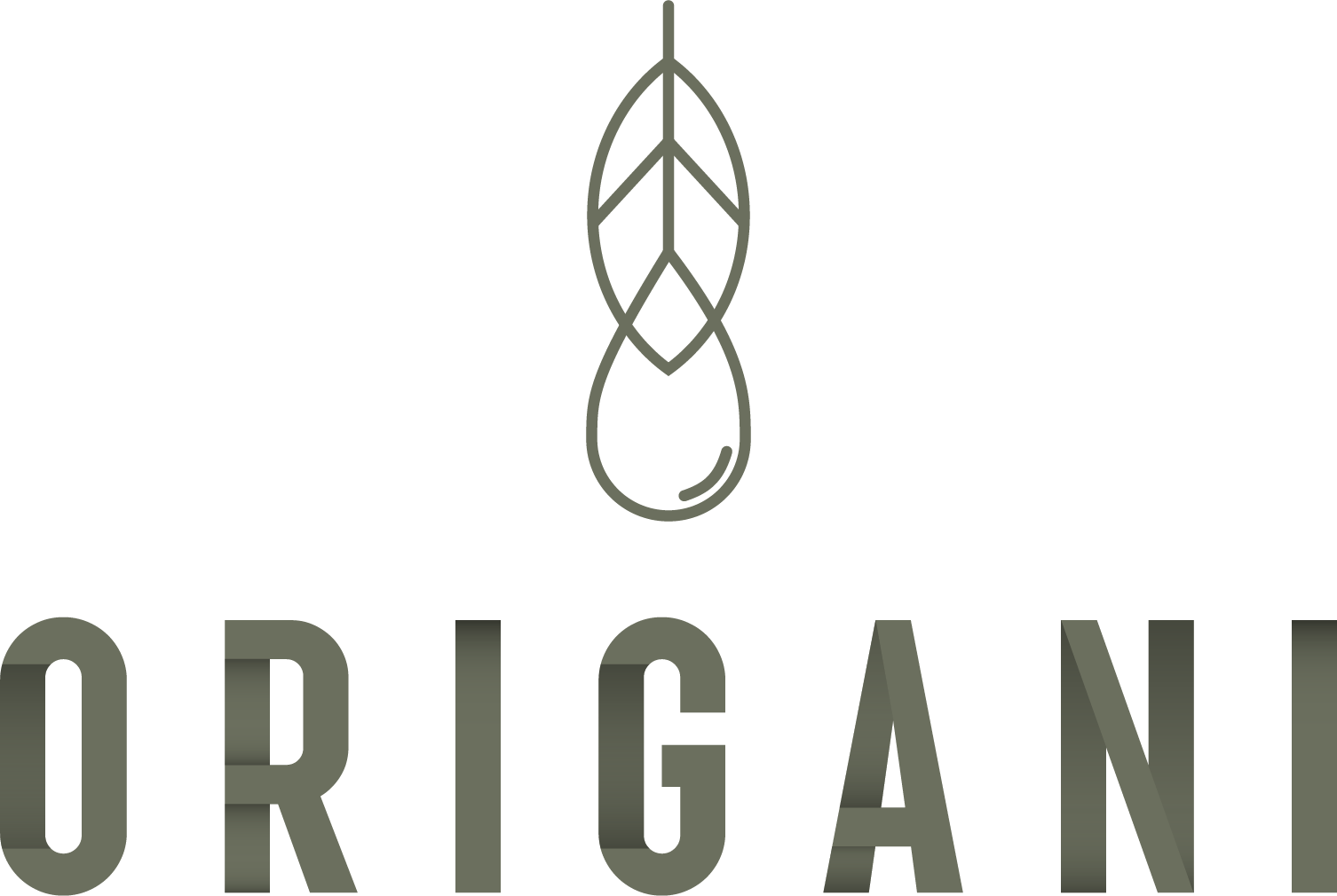 Origani